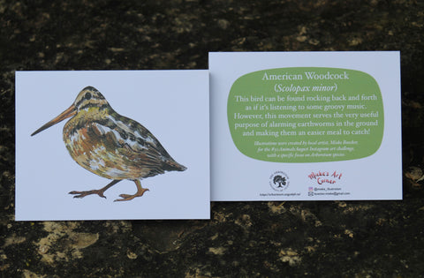 Greeting Card with Envelope. Front of card features beautifully illustrated image of a American Woodcock. The back includes the name of the creature as well as the following text “ This bird can be found rocking back and forth as if it’s listening to some groovy music. However, this movement serves the very useful purpose of alarming earthworms in the ground and making them an easier meal to catch!”.  The inside of the card is blank. Illustrations are by local artist Mieke Boecker.