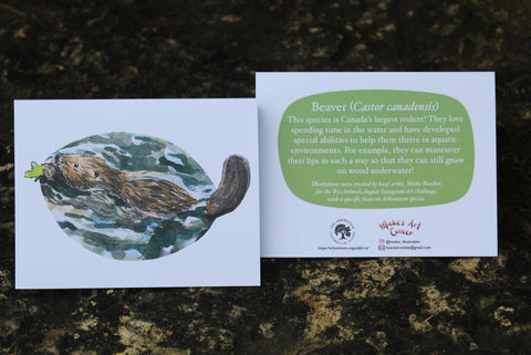 Greeting Card with Envelope. Front of card features beautifully illustrated images of a Beaver. The back includes the name of the creature as well as the following text "This species is Canada's largest rodent! They love spending time in the water and have developed special abilities to help them thrive in aquatic environments. For example, they can still gnaw on wood underwater!". The inside of the card is blank. Illustrations are by local artist Mieke Boecker.