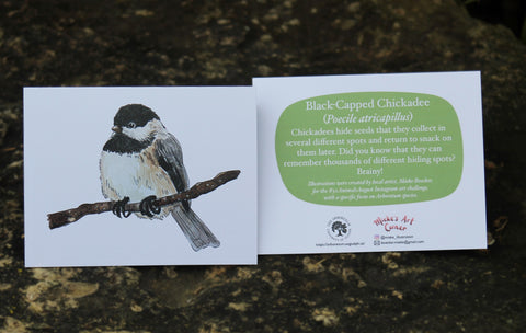 Greeting Card with Envelope. Front of card features beautifully illustrated images of a Black-Capped Chickadee. The back includes the name of the creature as well as the following text" Chickadees hide seeds that they collect in several different spots and return to snack on them later. Did you know that they can remember thousands of different hiding spots? Brainy!". The inside of the card is blank. Illustrations are by local artist Mieke Boecker.