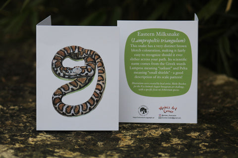 Greeting Card & Envelope. Front of card features image of a Eastern Milksnake. The back includes the following text “This snake has a very distinct brown blotch colouration, making it fairly easy to recognize should it ever slither across your path. Its scientific name comes from the greek words Lampros, meaning “radiant” and Pelta meaning “small shields”- a good description of its scale pattern!” The inside of the card is blank. Illustrations by local artist Mieke Boecker.