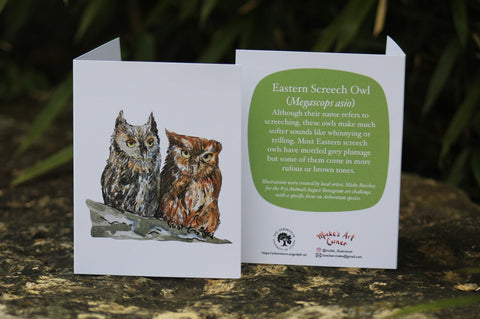 Greeting Card with Envelope. The front of the card features a beautifully illustrated image of two Eastern Screech Owl’s. The back includes the name of the creature as well as the following text “Although their name refers to screeching, these owls make much softer sounds like whining or trilling. Most Eastern screech owls have mottled grey plumage but some of them come in more rufous or brown tones”. The inside of the card is blank. Illustrations are by local artist Mieke Boecker.