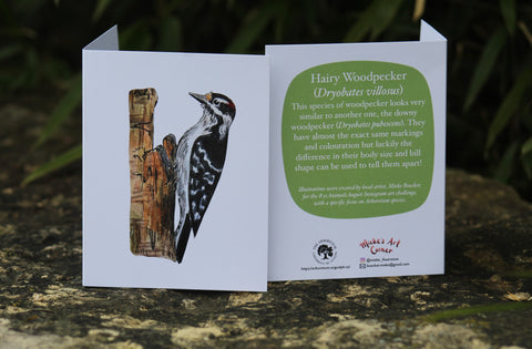 Greeting Card with Envelope. The front of the card features a beautifully illustrated image of a Hairy Woodpecker. The back includes the name of the creature as well as the following text “This species of woodpecker looks very similar to one another, the downy woodpecker. They have almost the exact same markings and coloration but luckily the difference in their body size and bill shape can be used to tell them apart”. The inside of the card is blank. Illustrations are by local artist Mieke Boecker.