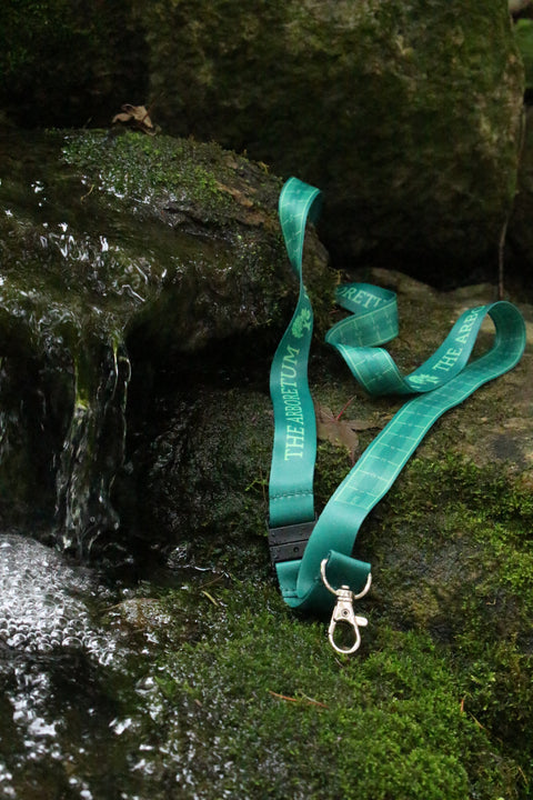 The green Arboretum lanyard, with branding on one side and a centimeters ruler on the other, sitting on a waterfall, with mossy rocks and flowing water. The silver swivel lobster clip and safety breakaway clip are featured.
