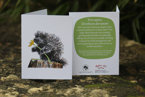 Greeting Card with Envelope. Front of card features image of a Porcupine. The back includes the following text" Did you know that porcupines have natural antibiotics in their skin? This helps them prevent any wounds getting infected after accidentally failing out of trees as a result of being tempted by fresh spring buds and leaves growing at the ends of not-so-sturdy branches". The inside of the card is blank. Illustrations are by local artist Mieke Boecker.