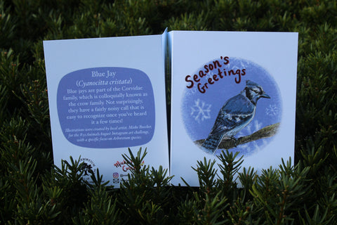 Blue Jay Season's Greeting card