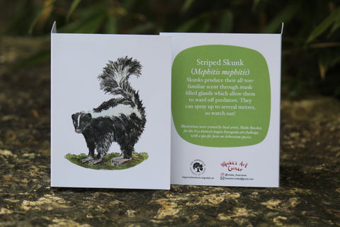 Greeting Card with Envelope. Front of card features beautifully illustrated image of a Striped Skunk. The back includes the name of the creature as well as the following text “Skunks provide their all-too-familiar scent through musk-filled glands which allow them to ward off predators. They can spray up to several meters so watch out!” The inside of the card is blank. Illustrations are by local artist Mieke Boecker.