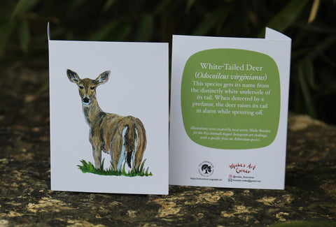 Greeting Card with Envelope. Front of card features beautifully illustrated images of a White-Tailed Deer. The back includes the name of the creature as well as the following text " This species gets its name from the distinctly white underside of its tail. When detected by a predator, the deer raises its tail in alarm while sprinting off". The inside of the card is blank. Illustrations are by local artist Mieke Boecker.
