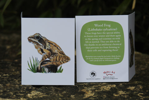 Greeting Card with Envelope. Front of card features beautifully illustrated image of a Wood Frog. The back includes the name of the creature as well as the following text" These frogs have the special ability to freeze over winter and thaw again in the spring and continue on life as normal. They are able to do this thanks to antifreeze chemical that prevents ice from forming in their cells and rupturing them!". The inside of the card is blank. Illustrations are by local artist Mieke Boecker.