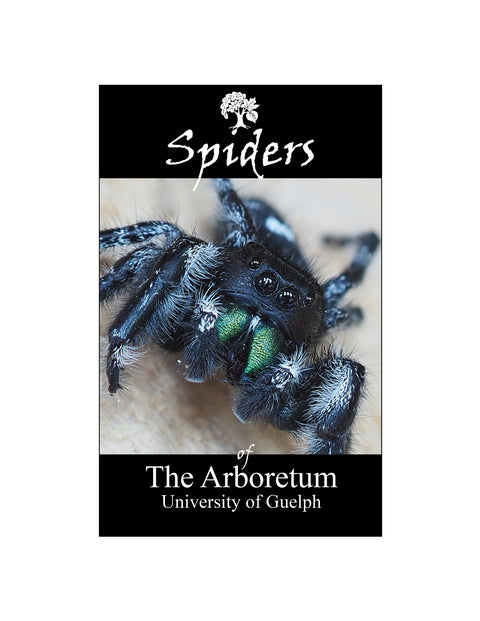 Front cover of Spiders Booklet