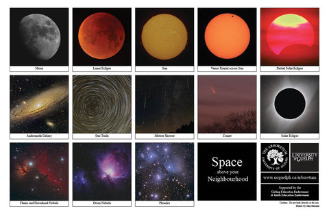 Back side of Biodiversity Sheet - Contains 13 labelled images of Space