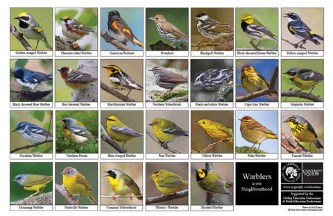 Front side of Biodiversity Sheet - Contains 26 labelled images of Warblers