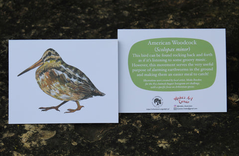 Greeting Card with Envelope. Front of card features beautifully illustrated image of a American Woodcock. The back includes the name of the creature as well as the following text “ This bird can be found rocking back and forth as if it’s listening to some groovy music. However, this movement serves the very useful purpose of alarming earthworms in the ground and making them an easier meal to catch!”.  The inside of the card is blank. Illustrations are by local artist Mieke Boecker. 