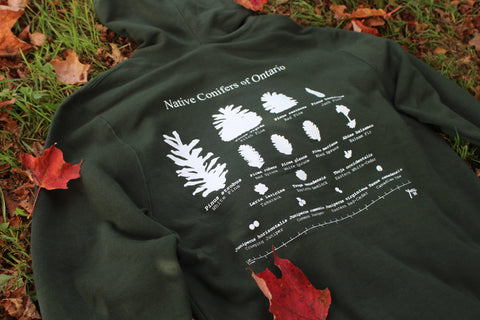 image of the back of Native Conifers on Ontario images and text on the back of the sweatshirt