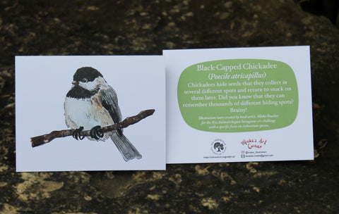 Greeting Card with Envelope. Front of card features beautifully illustrated images of a Black-Capped Chickadee. The back includes the name of the creature as well as the following text" Chickadees hide seeds that they collect in several different spots and return to snack on them later. Did you know that they can remember thousands of different hiding spots? Brainy!". The inside of the card is blank. Illustrations are by local artist Mieke Boecker. 