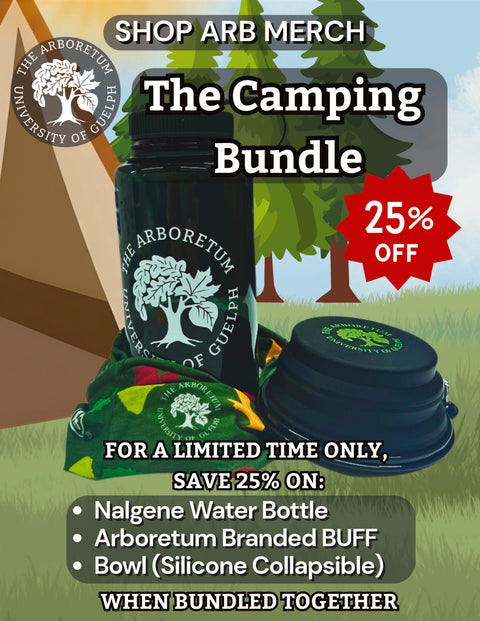 Special Offers