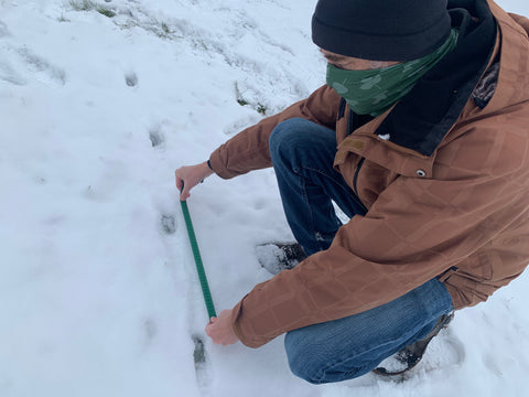 Person wearing Arboretum buff and using the lanyard to measure animal tracks in the snow.