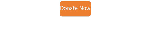 Donate now button