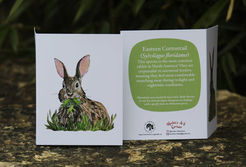 Greeting Card with Envelope. Front of card features beautifully illustrated image of an Eastern Cottontail. The back includes the name of the creature as well as the following text"This species is the most common rabbit in North America! they are crepuscular to nocturnal feeders, meaning they feel most comfortable munching away during twilight and nighttime conditions". The inside of the card is blank. Illustrations are by local artist Mieke Boecker. 