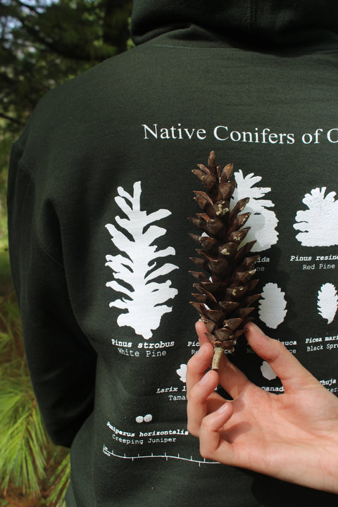 Back of the sweatshirt displaying conifer design