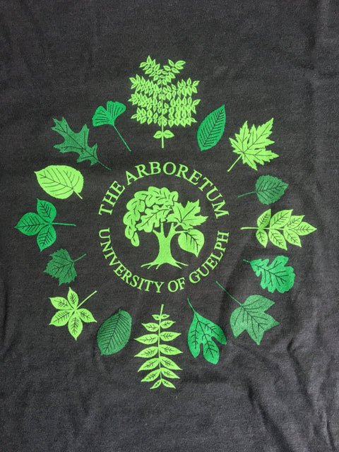 A close-up of The Arboretum's logo surrounded by 16 different types of leaves from trees found in the Arboretum. 