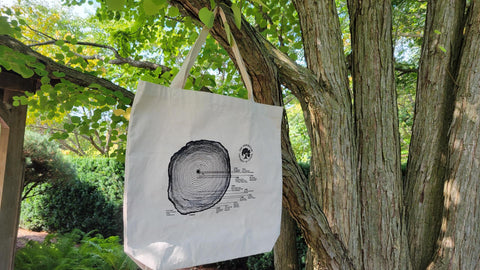 image of Tree ring bag hanging from a tree branch