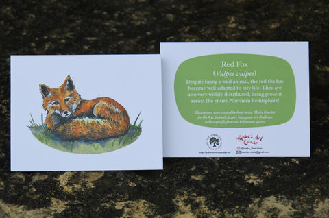 Greeting Card with Envelope. The front of the card features beautifully illustrated Red Fox?. The back includes the name of the creature as well as the following text "Despite being a wild animal, the red fox has become well-adapted to city life. They are also very widely distributed, being present across the entire Northern hemishphere!".  The inside of the card is blank. Illustrations are by local artist Mieke Boecker. 