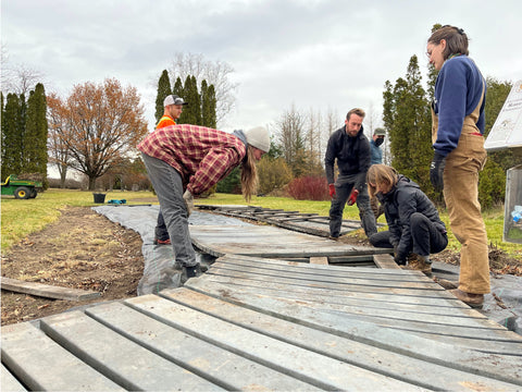 staff working on the Rose Garden Revamp