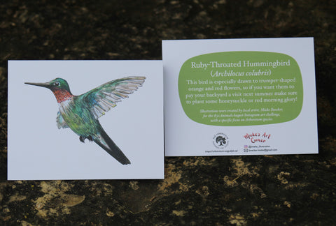 Greeting Card with Envelope. The front of the card features beautifully illustrated Ruby-Throated Hummingbird. The back includes the name of the creature as well as the following text "This bird is especially drawn to trumpet-shaped orange and red flowers, so if you want them to pay your backyard a visit next summer make sure to plant some honeysuckle or red morning glory!"  The inside of the card is blank. Illustrations are by local artist Mieke Boecker. 