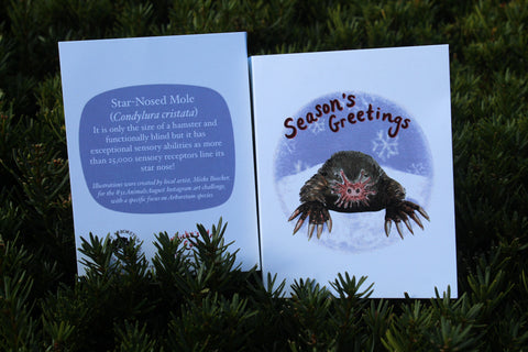 Star-Nosed Mole season's greeting card 