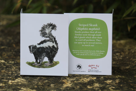 Greeting Card with Envelope. Front of card features beautifully illustrated image of a Striped Skunk. The back includes the name of the creature as well as the following text “Skunks provide their all-too-familiar scent through musk-filled glands which allow them to ward off predators. They can spray up to several meters so watch out!” The inside of the card is blank. Illustrations are by local artist Mieke Boecker. 