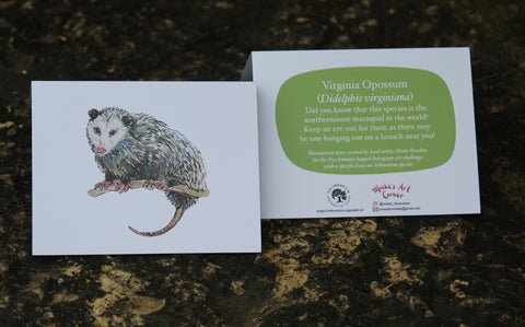 Greeting Card with Envelope. The front of the card features a beautifully illustrated image of a Virginia Opossum. The back includes the name of the creature as well as the following text “Did you know that this species is the northernmost marsupial in the world? Keep an eye out for them as there may be one hanging out on a branch near you!”.The inside of the card is blank. Illustrations are by local artist Mieke Boecker. 