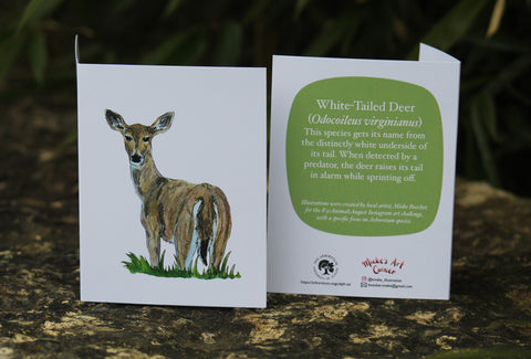  Greeting Card with Envelope. Front of card features beautifully illustrated images of a White-Tailed Deer. The back includes the name of the creature as well as the following text " This species gets its name from the distinctly white underside of its tail. When detected by a predator, the deer raises its tail in alarm while sprinting off". The inside of the card is blank. Illustrations are by local artist Mieke Boecker. 