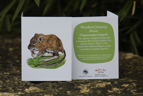 Greeting Card with Envelope. Front of card features beautifully illustrated image of a Woodland Jumping Mouse. The back includes the name of the creature as well as the following text" This species strong hind legs and long tail allow them to jump as far as three meters. This is a very helpful trait when needing to escape a precarious situation quickly!". The inside of the card is blank. Illustrations are by local artist Mieke Boecker.