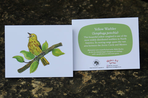 Greeting Card with Envelope. The front of the card features beautifully illustrated Yellow Warbler?. The back includes the name of the creature as well as the following text "This beautiful yellow songbird is one of the most widely distributed warblers in North America. Its nesting range spans the vast area between the Artic Circle and Mexico".  The inside of the card is blank. Illustrations are by local artist Mieke Boecker. 