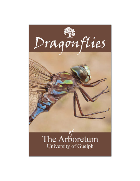 Front Cover of Dragonfly Booklet 