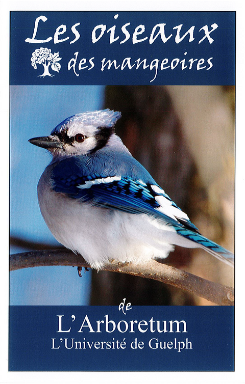 Front Page of the French Feeder Birds Booklet, with a photo of a Blue Jay.